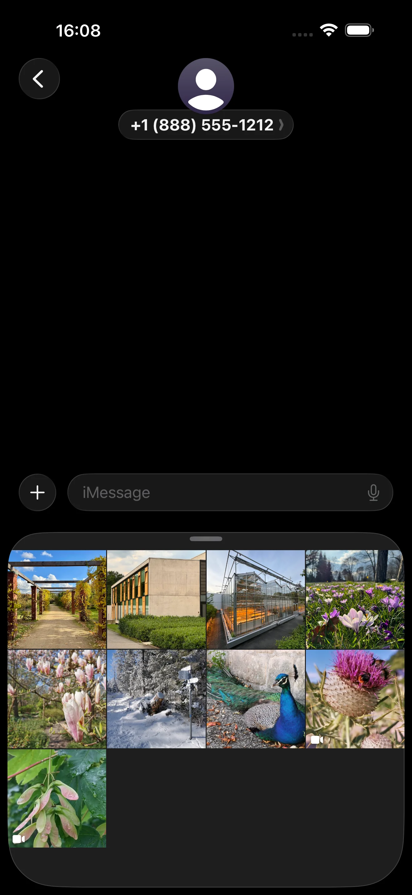Prismic iMessage app – send photos directly in iMessage conversations