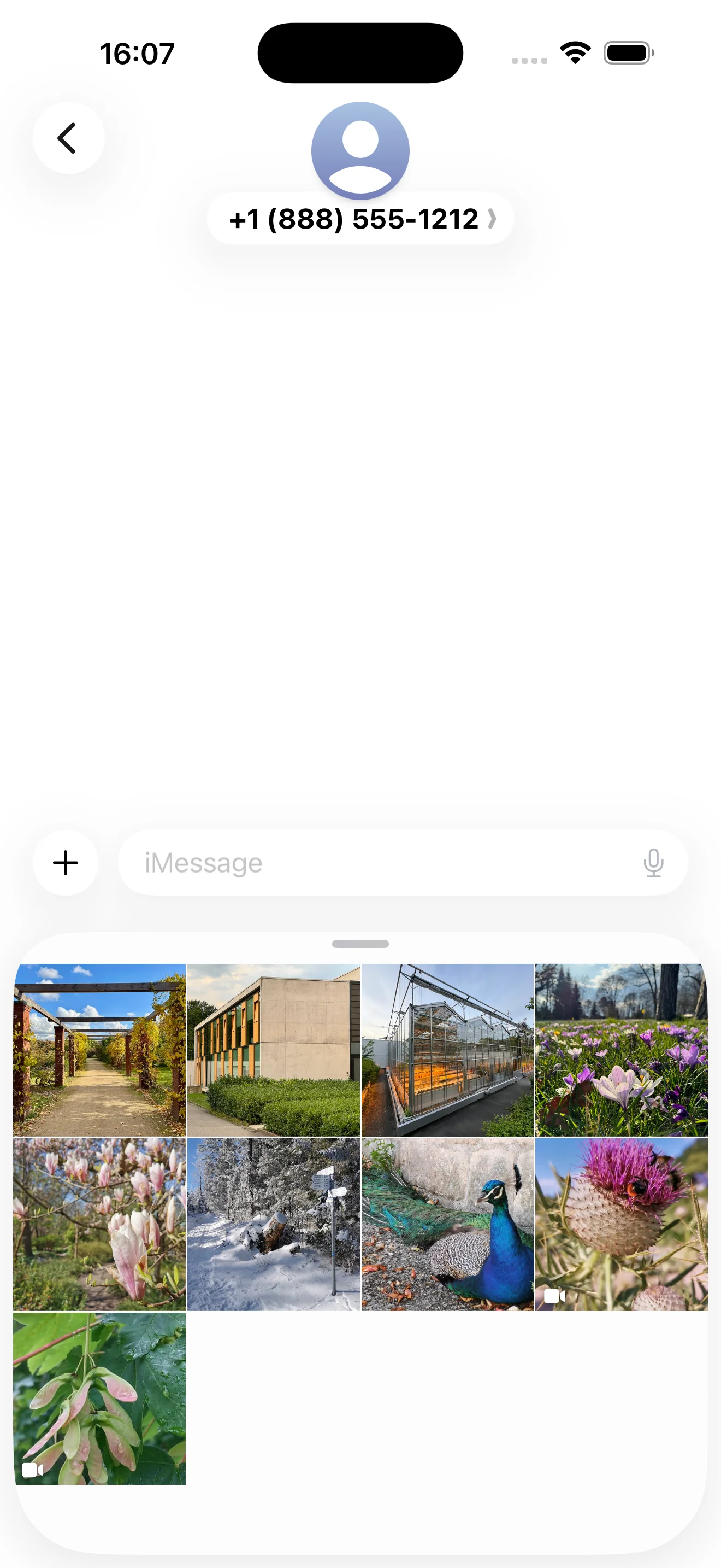 Prismic iMessage app – send photos directly in iMessage conversations