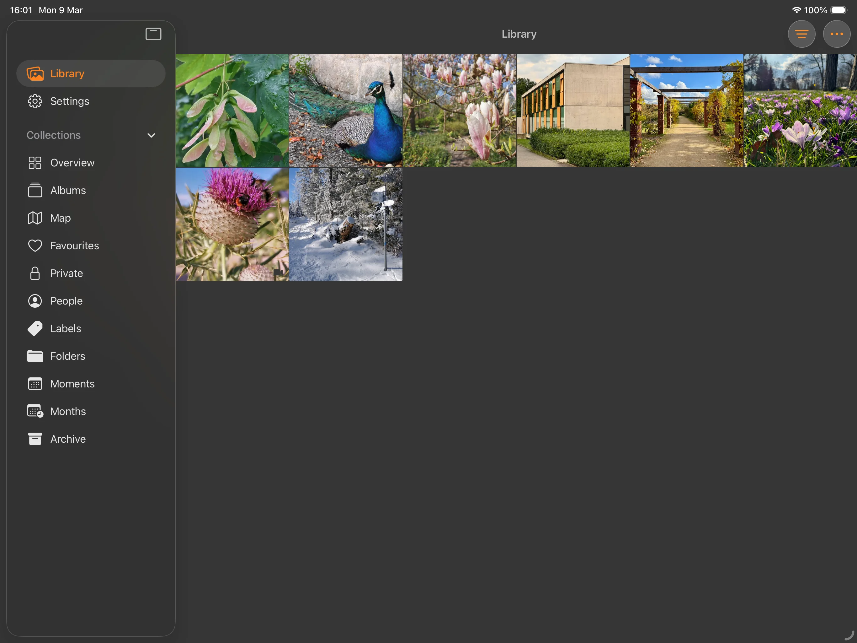 Prismic iPad app – browse your PhotoPrism library on iPad