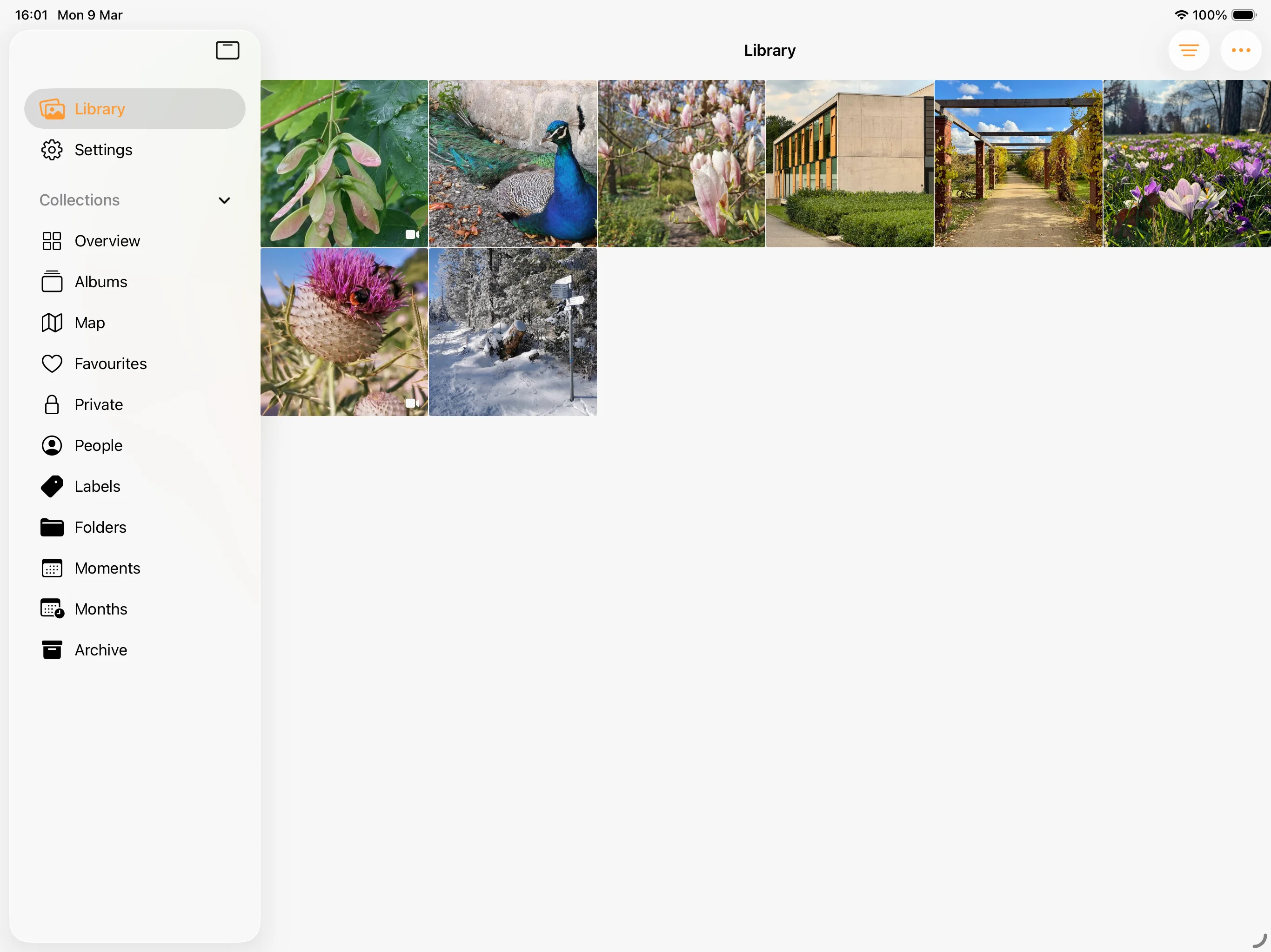 Prismic iPad app – browse your PhotoPrism library on iPad